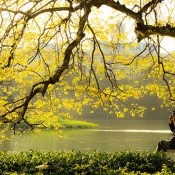 Autumn sonatas in Northern Vietnam