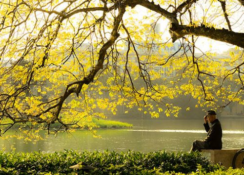 Autumn sonatas in Northern Vietnam