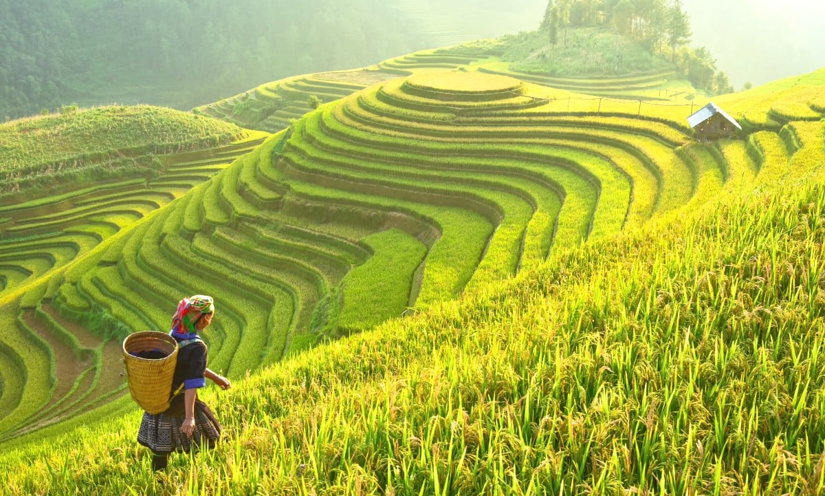 Vietnam: A Feast for the Senses