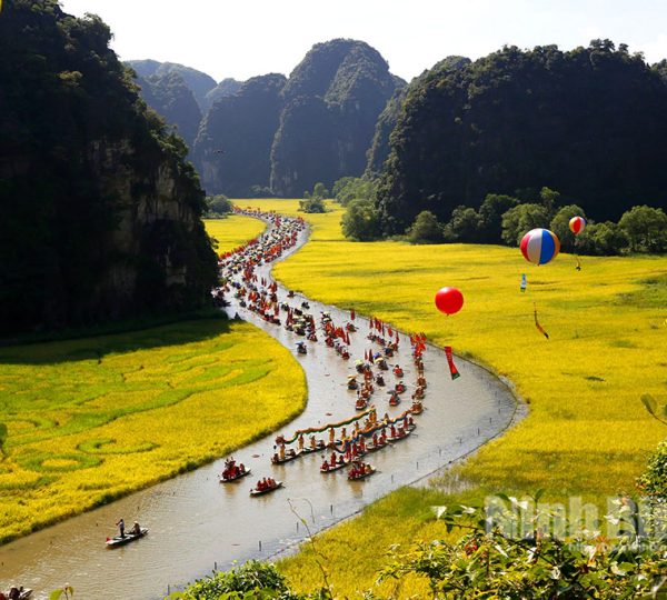 Vietnam: A Year of Wonders - Unforgettable Destinations for Every Month