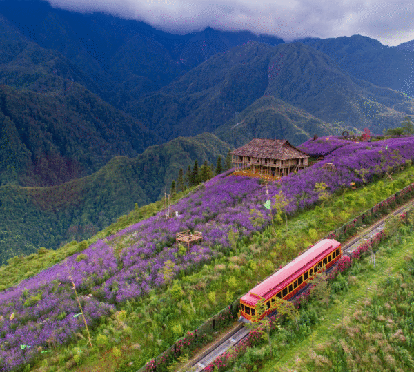 sapa-travel-guide-9