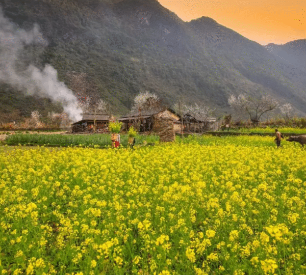 ha-giang-travel-10