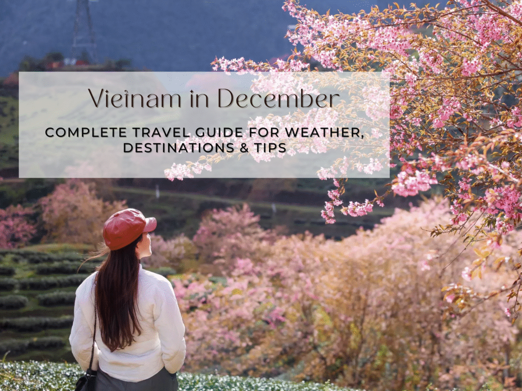 Vietnam in December: Complete Travel Guide for Weather, Destinations & Tips