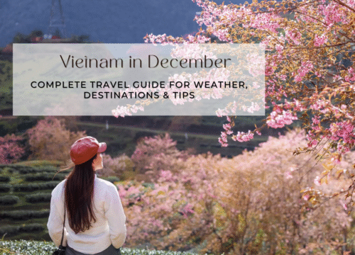 Vietnam in December: Complete Travel Guide for Weather, Destinations & Tips