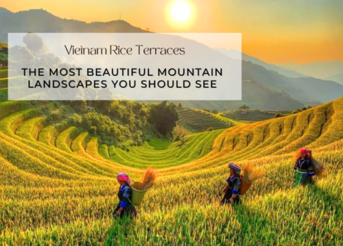 Vietnam Rice Terraces: The Most Beautiful Mountain Landscapes You Should See