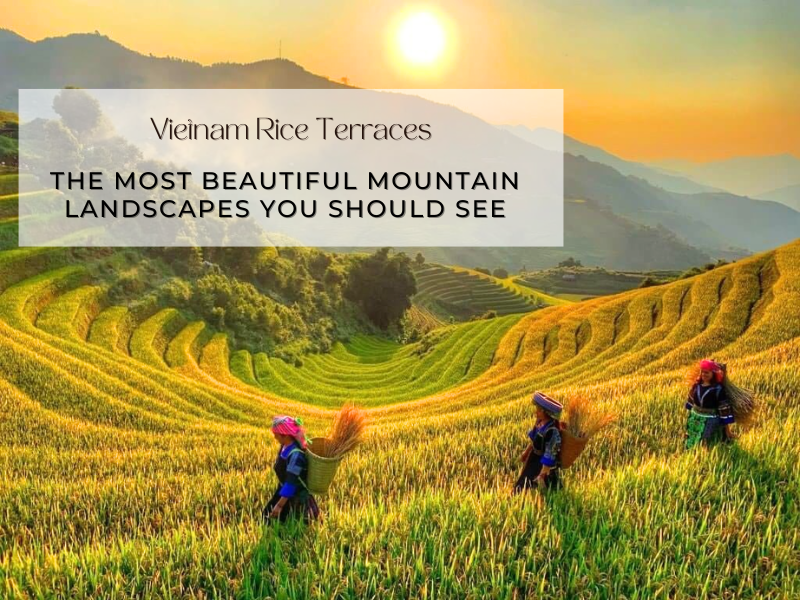 Vietnam Rice Terraces: The Most Beautiful Mountain Landscapes You Should See