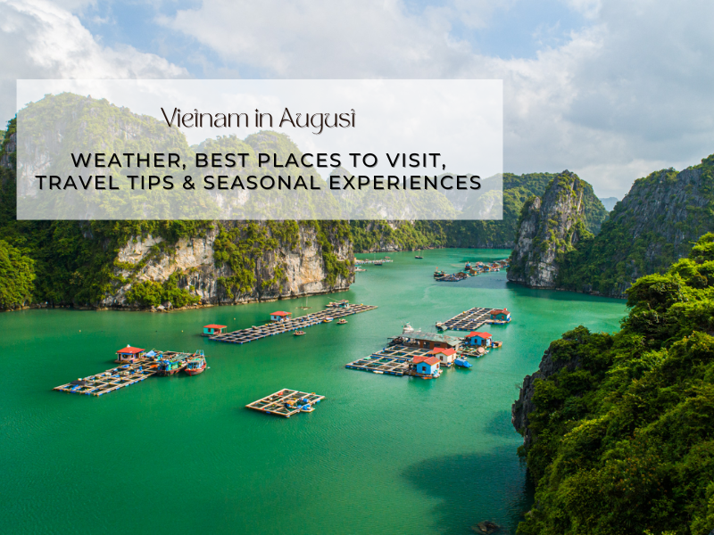 Vietnam in August: Weather, Best Places to Visit, Travel Tips & Seasonal Experiences