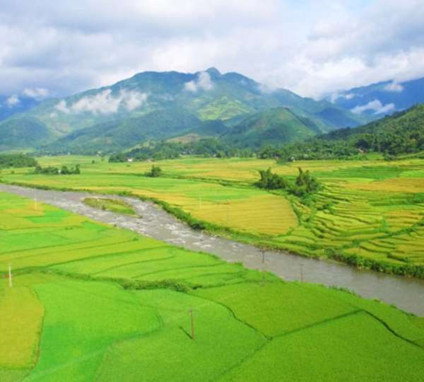 vietnam-in-august-1